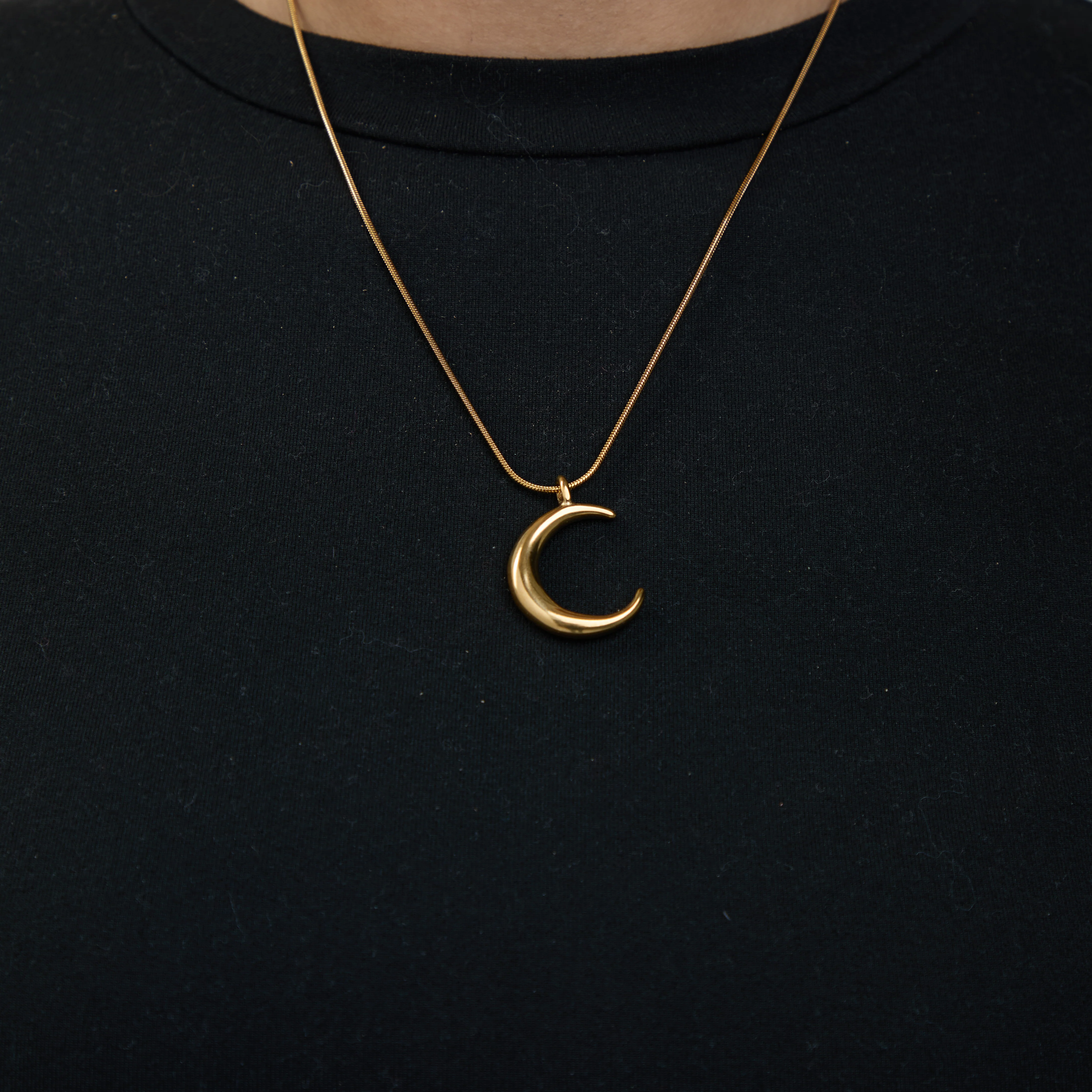 Premium Crescent Necklace - Image 2